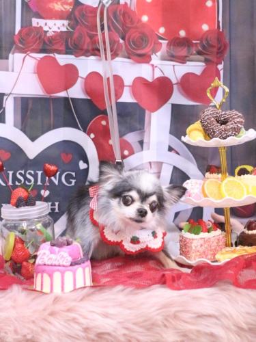 20250209クオンくん